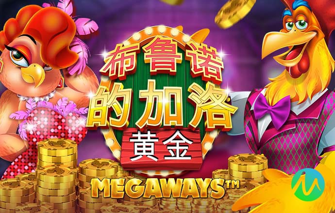 巴沙体育官网首页网址